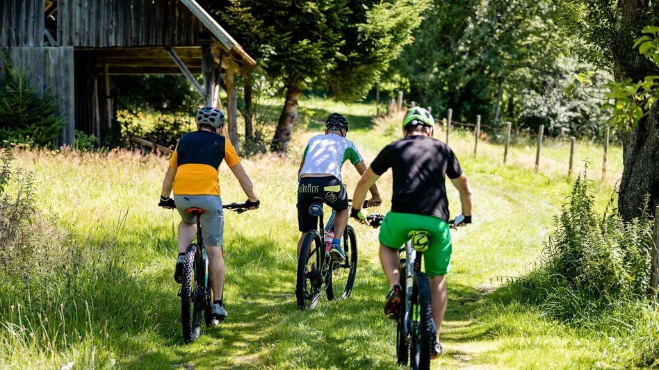 Bike Riding Masenberg circuit from Wenigzell, Wenigzell - Touren-Impression #2.1 | © Oststeiermark Tourismus