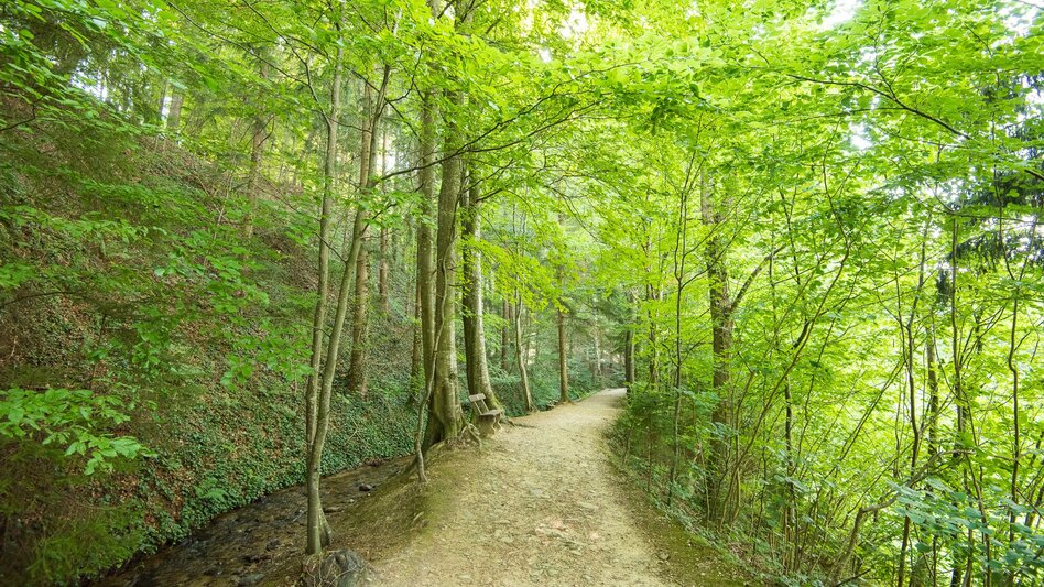 Hiking route Hinterbrühl circuit barrier-free, Pöllau - Touren-Impression #2.5 | © Oststeiermark Tourismus