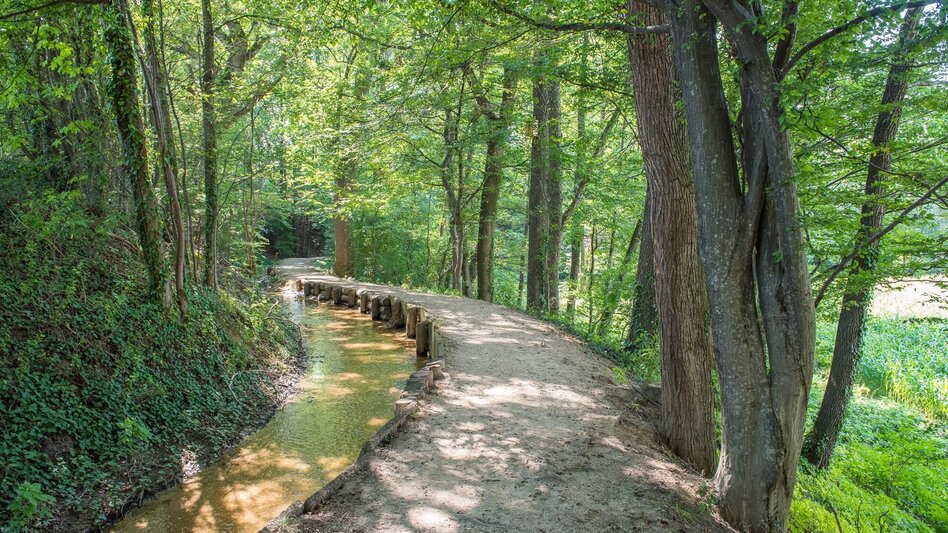 Hiking route Hinterbrühl circuit barrier-free, Pöllau - Touren-Impression #2.6 | © Helmut Schweighofer