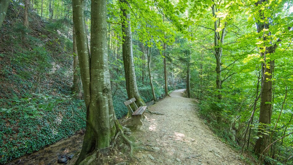 Hiking route Hinterbrühl circuit barrier-free, Pöllau - Touren-Impression #2.1 | © Helmut Schweighofer
