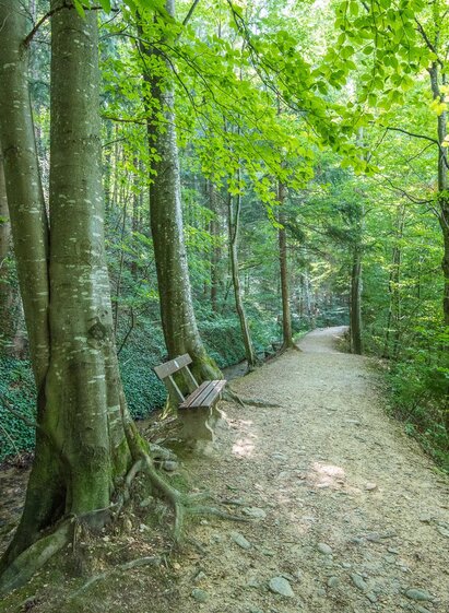Bankerl Hinterbrühl_Pöllau_Oststeiermark | © Helmut Schweighofer | © Helmut Schweighofer