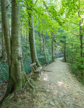 Bankerl Hinterbrühl_Pöllau_Oststeiermark | © Helmut Schweighofer