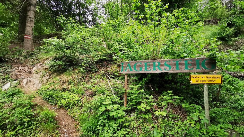 Hiking route Jägersteig circular hike over the Patschagipfel (Weizklamm) - Touren-Impression #2.15 | © Oststeiermark Tourismus