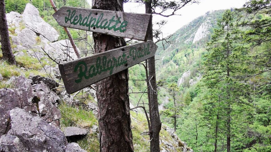 Hiking route Jägersteig circular hike over the Patschagipfel (Weizklamm) - Touren-Impression #2.14 | © Oststeiermark Tourismus