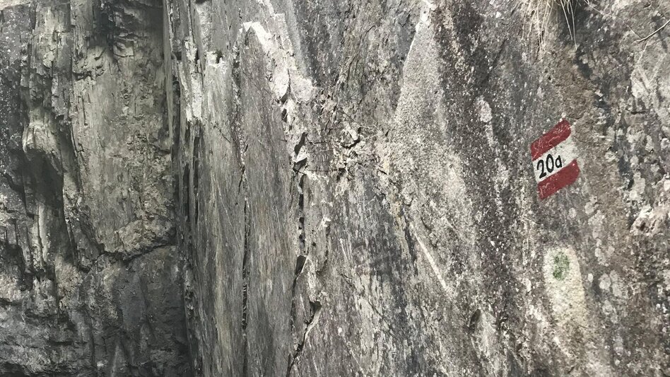 Hiking route Jägersteig circular hike over the Patschagipfel (Weizklamm) - Touren-Impression #2.5 | © Oststeiermark Tourismus