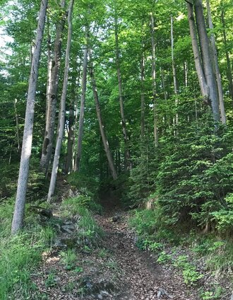 Jägersteig (c) Fani | Lara Fani | © Oststeiermark Tourismus