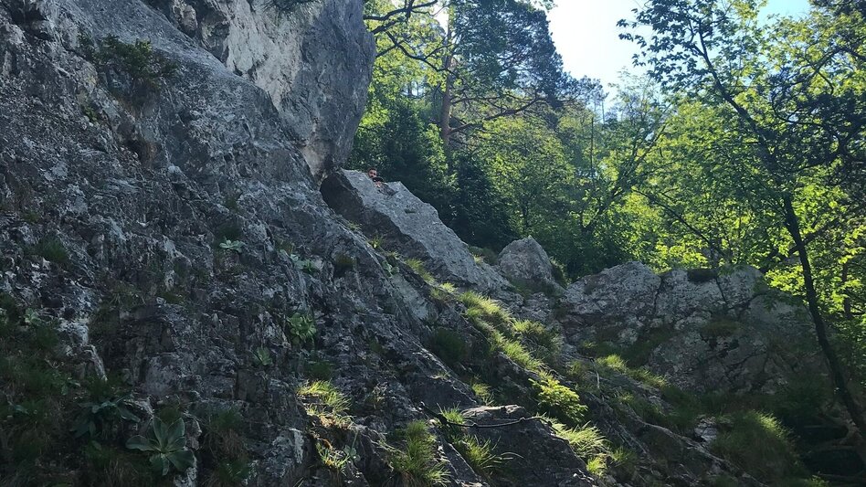 Hiking route Jägersteig circular hike over the Patschagipfel (Weizklamm) - Touren-Impression #2.3 | © Oststeiermark Tourismus
