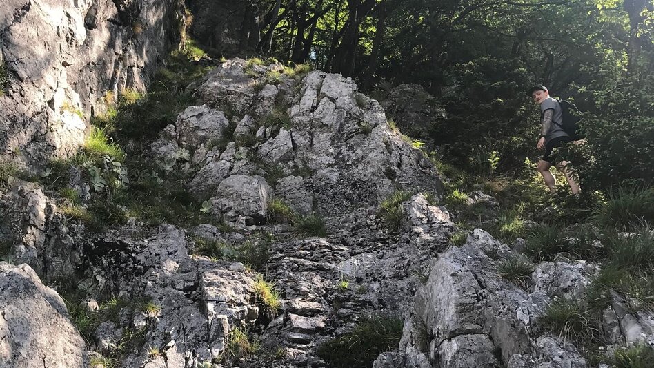 Hiking route Jägersteig circular hike over the Patschagipfel (Weizklamm) - Touren-Impression #2.11 | © Oststeiermark Tourismus