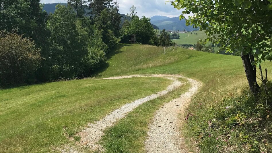 Hiking route Jägersteig circular hike over the Patschagipfel (Weizklamm) - Touren-Impression #2.9 | © Oststeiermark Tourismus