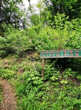 Jägersteig (c) Reithofer | © Oststeiermark Tourismus | Lara Fani  | © Oststeiermark Tourismus