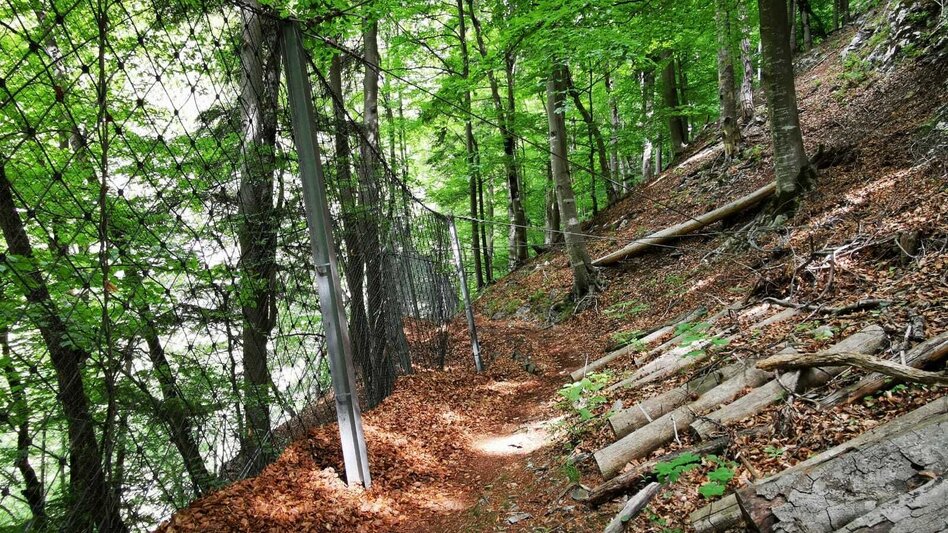 Hiking route Jägersteig Weizklamm - Touren-Impression #2.2 | © Oststeiermark Tourismus