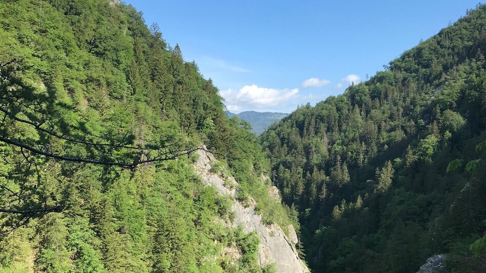 Hiking route Jägersteig Weizklamm - Touren-Impression #2.5 | © Oststeiermark Tourismus