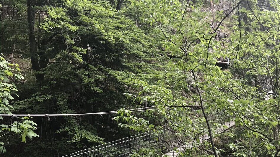 Hiking route Jägersteig Weizklamm - Touren-Impression #2.10 | © Oststeiermark Tourismus