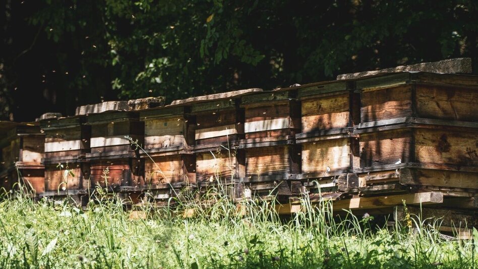 Wanderung Honigrundweg - Touren-Impression #2.1 | © TV Südsteiermark