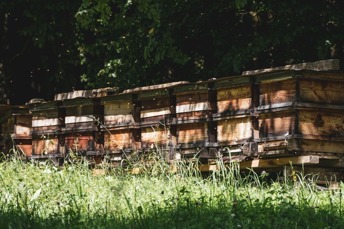 Wanderung Honigrundweg - Touren-Impression #1 | © TV Südsteiermark