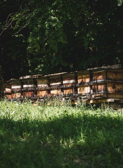 Bienenstöcke | © TV Südsteiermark | Silvan | © TV Südsteiermark