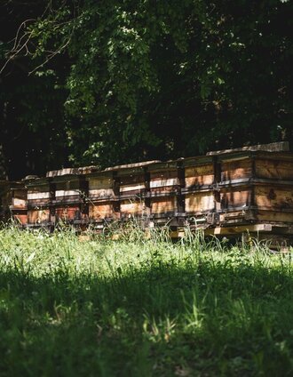 Bienenstöcke | Silvan | © TV Südsteiermark