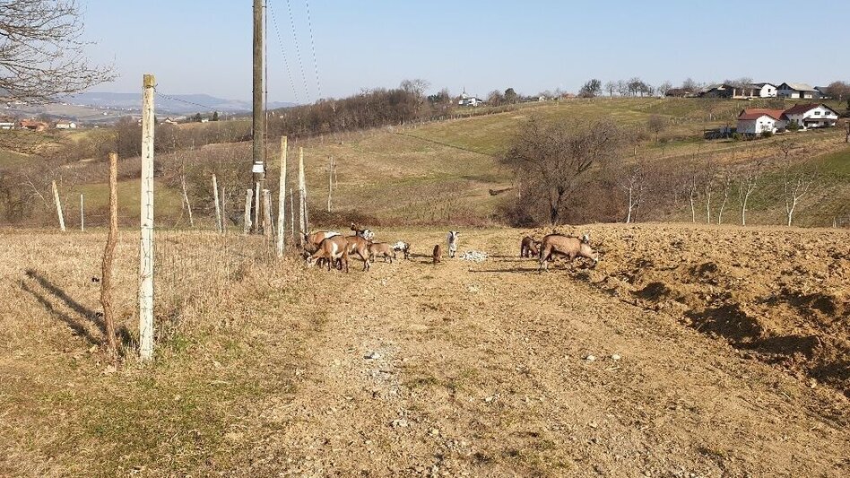Hiking route Path of friendship (Weg der Freundschaft) - Touren-Impression #2.2 | © Unbekannt