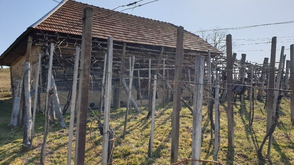 Hiking route Path of friendship (Weg der Freundschaft) - Touren-Impression #2.5 | © Unbekannt