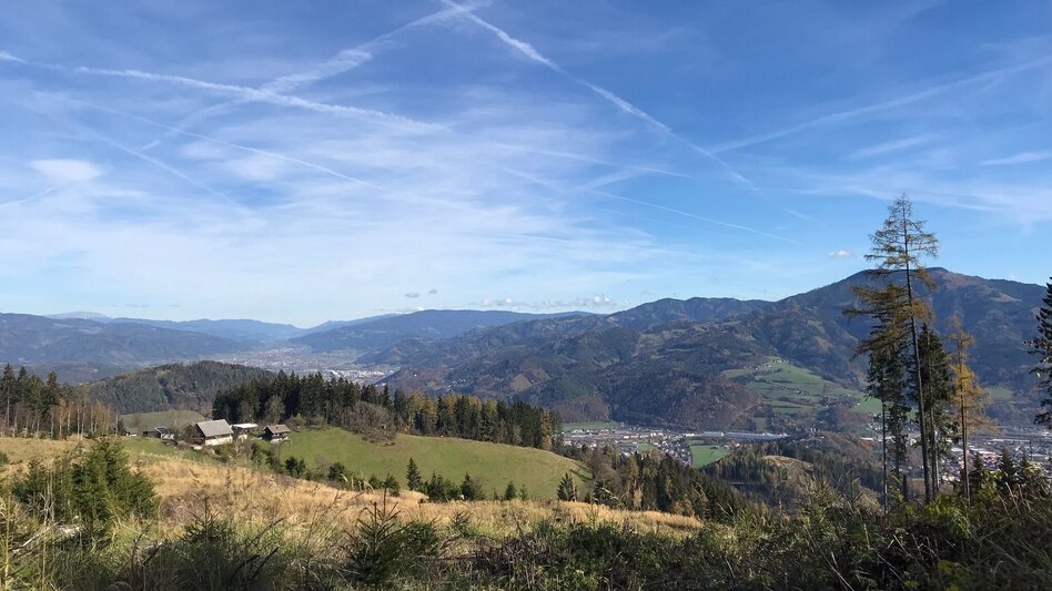 Mountain Biking Mountain Bike Tour from Bruck an der Mur to Madereck - Touren-Impression #2.2 | © Hochsteiermark