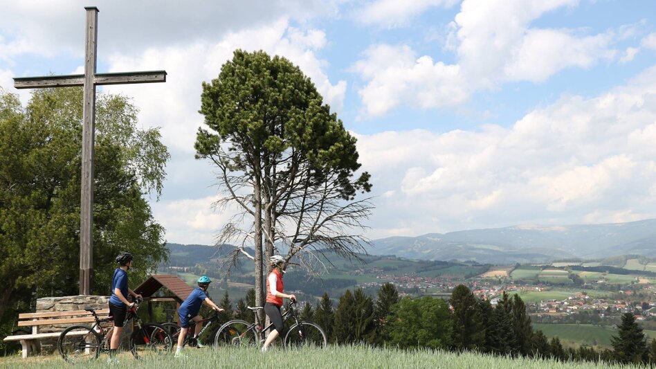Bike Riding MTB Tour Vorau – Masenberg, Vorau - Touren-Impression #2.1 | © Tourismus Info Vorau