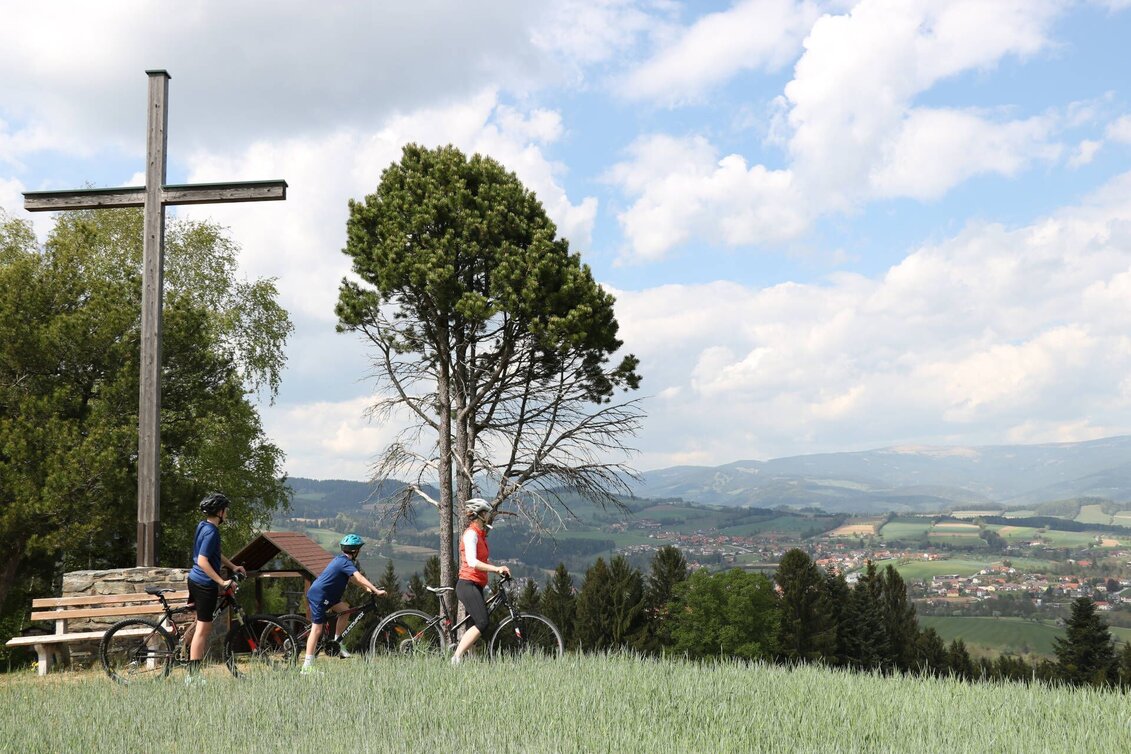 Bike Riding MTB Tour Vorau – Masenberg, Vorau - Touren-Impression #1 | © Tourismus Info Vorau