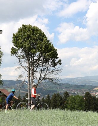 Aussichtspunkt bei der Erzherzog Johann Höhe | © Tourismus Info Vorau
