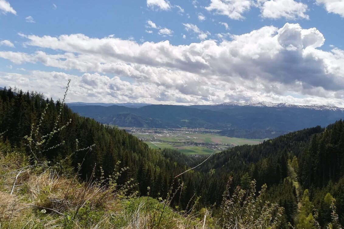 Mountain Biking Tour 20a - MTB - Fohnsdorfer Graben to Hammerl Eckwiese - Touren-Impression #1 | © Erlebnisregion Murtal