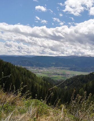 tour 20a - mtb - fohnsdorfer graben bis zur hammerl eckwiese_img_51425944 | Inge Amtmann | © Erlebnisregion Murtal