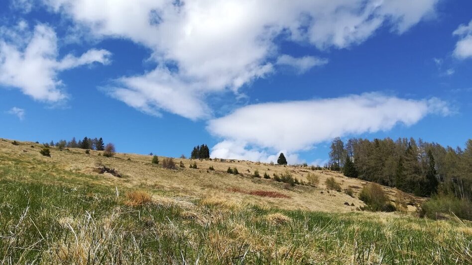 Mountain Biking Tour 20a - MTB - Fohnsdorfer Graben to Hammerl Eckwiese - Touren-Impression #2.2 | © Erlebnisregion Murtal