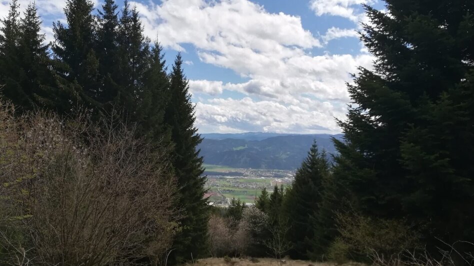 Mountain Biking Tour 20a - MTB - Fohnsdorfer Graben to Hammerl Eckwiese - Touren-Impression #2.3 | © Erlebnisregion Murtal