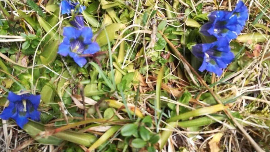 Mountain Biking Tour 20a - MTB - Fohnsdorfer Graben to Hammerl Eckwiese - Touren-Impression #2.5 | © Erlebnisregion Murtal