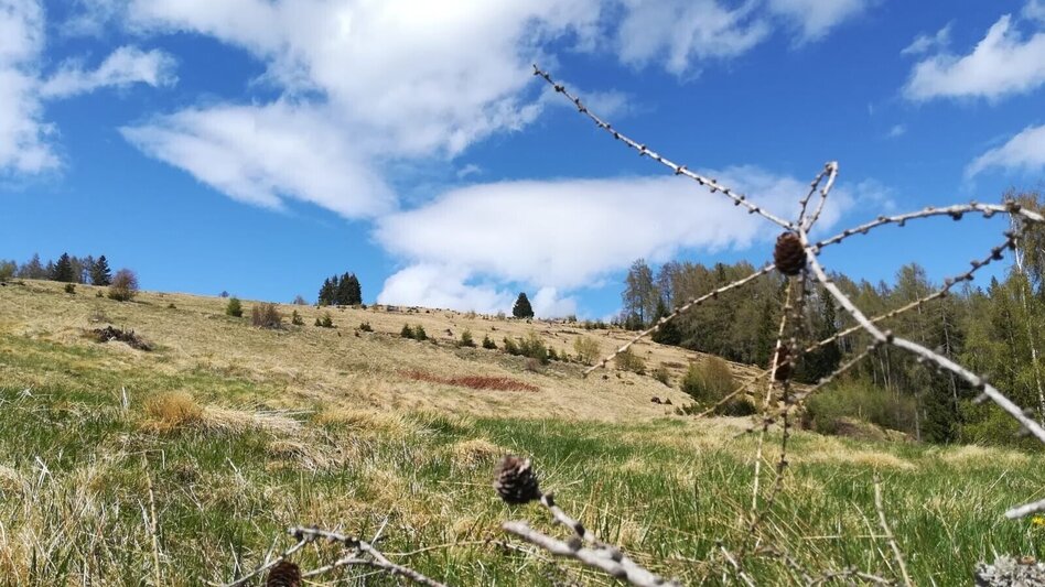 Mountain Biking Tour 20a - MTB - Fohnsdorfer Graben to Hammerl Eckwiese - Touren-Impression #2.6 | © Erlebnisregion Murtal