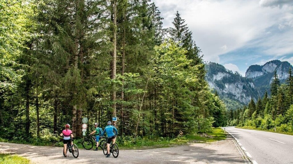 Mountainbike Über den Torsattel  von Wildalpen nach Gams - Touren-Impression #2.1 | © TV Gesäuse