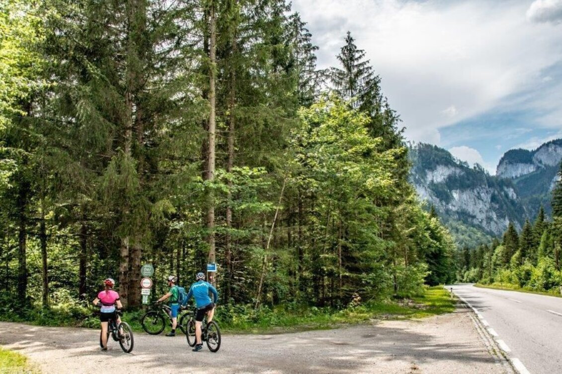 Mountainbike Über den Torsattel  von Wildalpen nach Gams - Touren-Impression #1 | © TV Gesäuse
