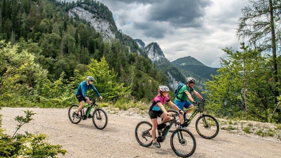 Mountainbike Über den Torsattel  von Wildalpen nach Gams - Touren-Impression #2.3 | © TV Gesäuse
