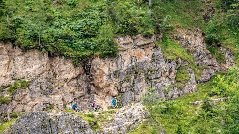 Mountainbike Über den Torsattel  von Wildalpen nach Gams - Touren-Impression #2.4 | © TV Gesäuse