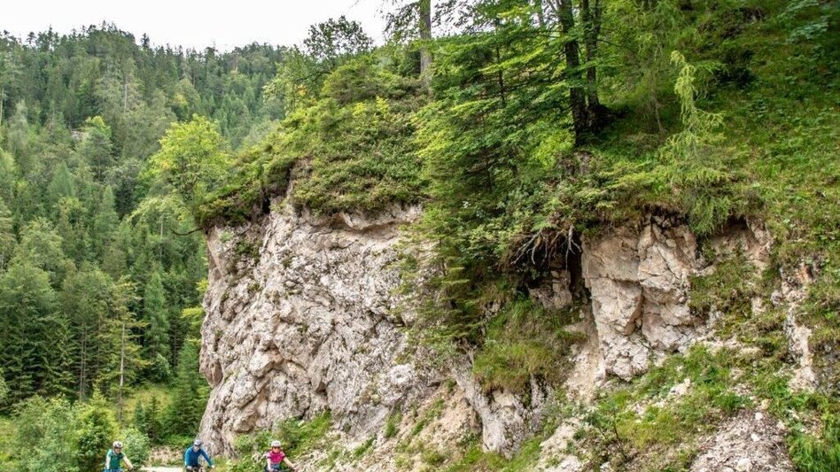 Mountainbike Über den Torsattel  von Wildalpen nach Gams - Touren-Impression #2.5 | © TV Gesäuse