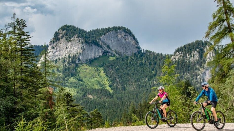 Mountainbike Über den Torsattel  von Wildalpen nach Gams - Touren-Impression #2.7 | © TV Gesäuse