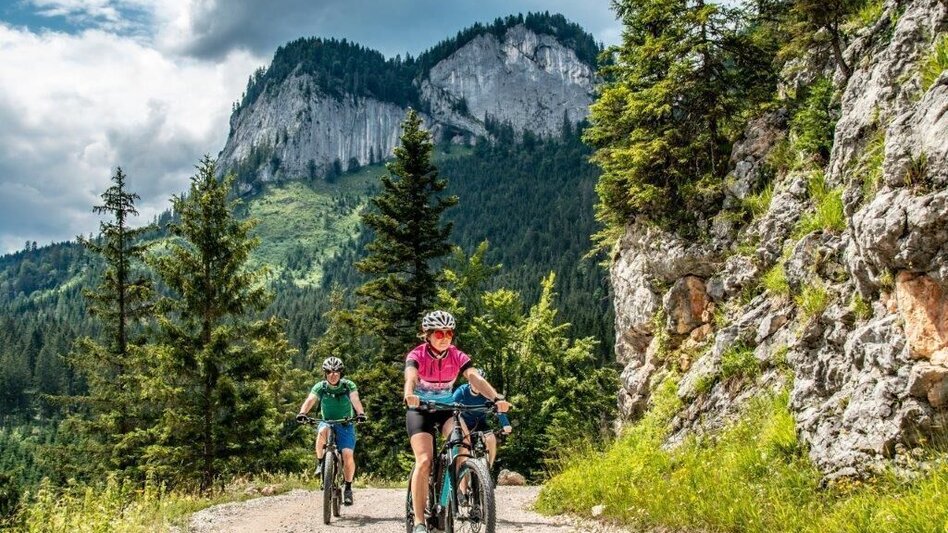 Mountainbike Über den Torsattel  von Wildalpen nach Gams - Touren-Impression #2.8 | © TV Gesäuse