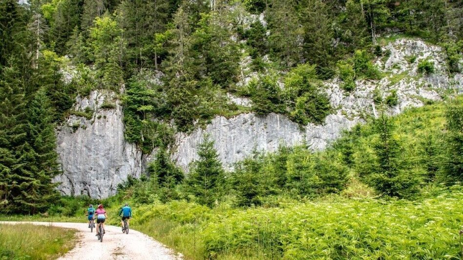 Mountainbike Über den Torsattel  von Wildalpen nach Gams - Touren-Impression #2.9 | © TV Gesäuse