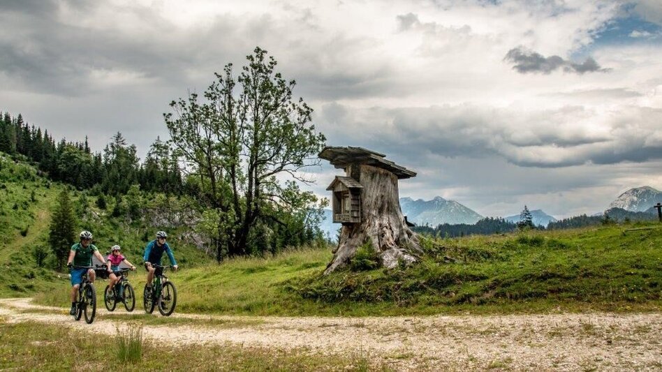 Mountainbike Über den Torsattel  von Wildalpen nach Gams - Touren-Impression #2.10 | © TV Gesäuse