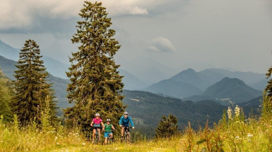 Mountainbike Über den Torsattel  von Wildalpen nach Gams - Touren-Impression #2.12 | © TV Gesäuse
