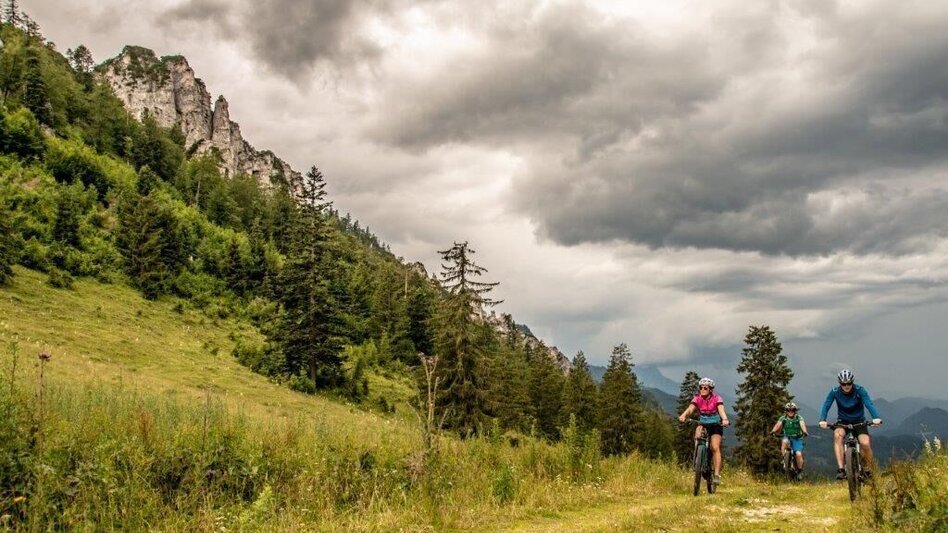 Mountainbike Über den Torsattel  von Wildalpen nach Gams - Touren-Impression #2.13 | © TV Gesäuse