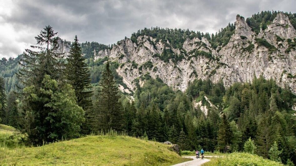 Mountainbike Über den Torsattel  von Wildalpen nach Gams - Touren-Impression #2.14 | © TV Gesäuse
