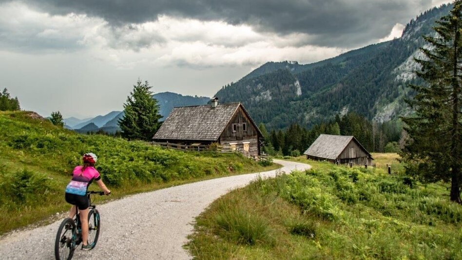 Mountainbike Über den Torsattel  von Wildalpen nach Gams - Touren-Impression #2.15 | © TV Gesäuse