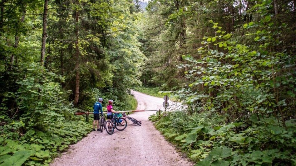 Mountainbike Über den Torsattel  von Wildalpen nach Gams - Touren-Impression #2.16 | © TV Gesäuse