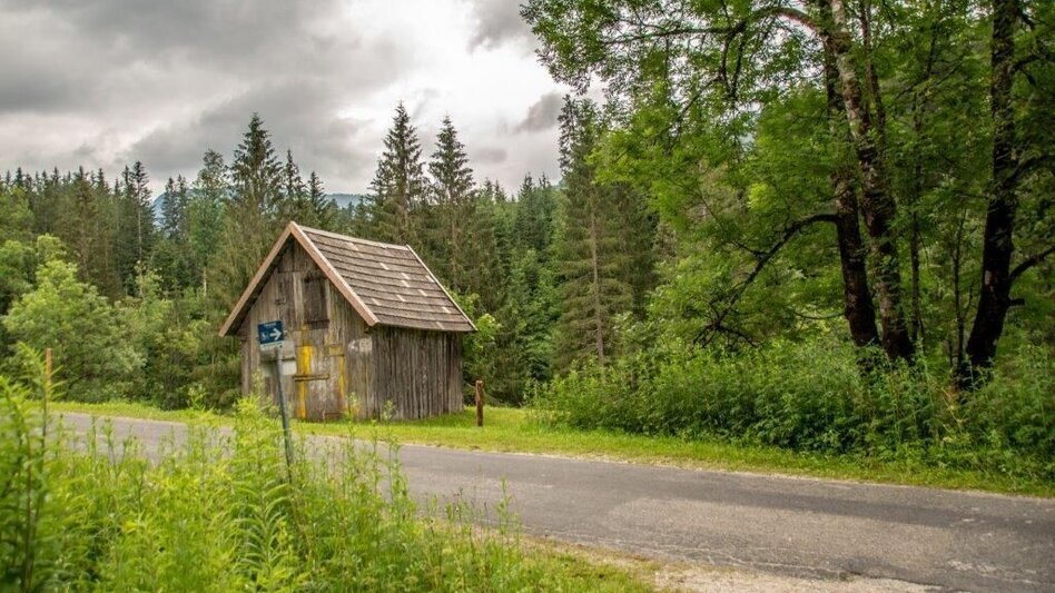 Mountainbike Über den Torsattel  von Wildalpen nach Gams - Touren-Impression #2.18 | © TV Gesäuse