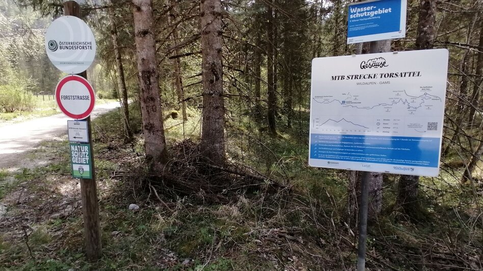 Mountainbike Über den Torsattel  von Wildalpen nach Gams - Touren-Impression #2.20 | © TV Gesäuse