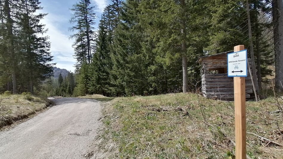 Mountainbike Über den Torsattel  von Wildalpen nach Gams - Touren-Impression #2.21 | © TV Gesäuse